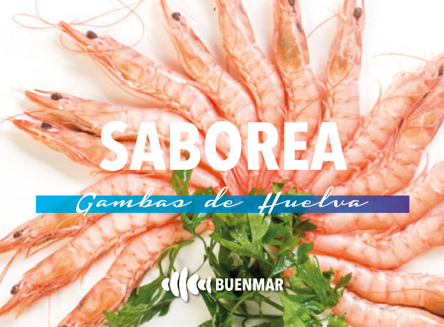 comprar-gambas-de-huelva-buenmar-semana-santa-sevilla