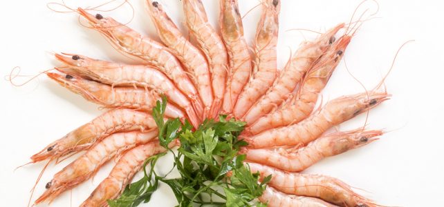 Comprar gambas blancas de Huelva exquisitas con BUENMAR Comprar gambas blancas de Huelva exquisitas con BUENMAR