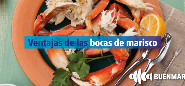 Bocas marisco o bocas de cangrejo: beneficios nutritivos y consejos Bocas marisco o bocas de cangrejo: beneficios nutritivos y consejos
