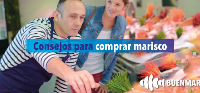 Consejos para comprar marisco en Sevilla o en cualquier lugar Consejos para comprar marisco en Sevilla o en cualquier lugar