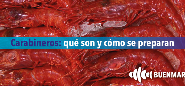 Carabineros cocidos: Qué son y cómo se preparan Carabineros cocidos: Qué son y cómo se preparan