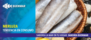 merluza-el-pescado-mas-consumido-en-españa