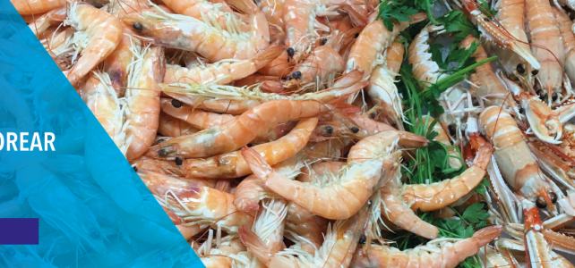 Cómo comprar marisco congelado y acertar Cómo comprar marisco congelado y acertar