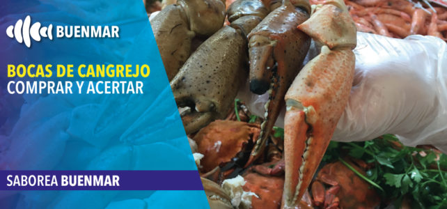 Bocas de cangrejo real, una gozada para tu paladar Bocas de cangrejo real, una gozada para tu paladar